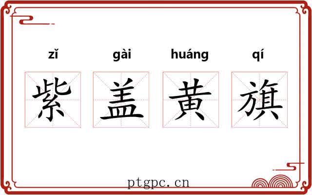 紫盖黄旗 紫盖黄旗