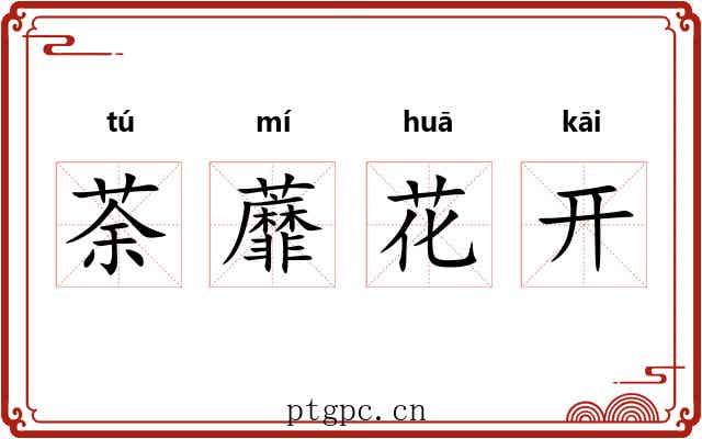 荼蘼花开 荼蘼花开