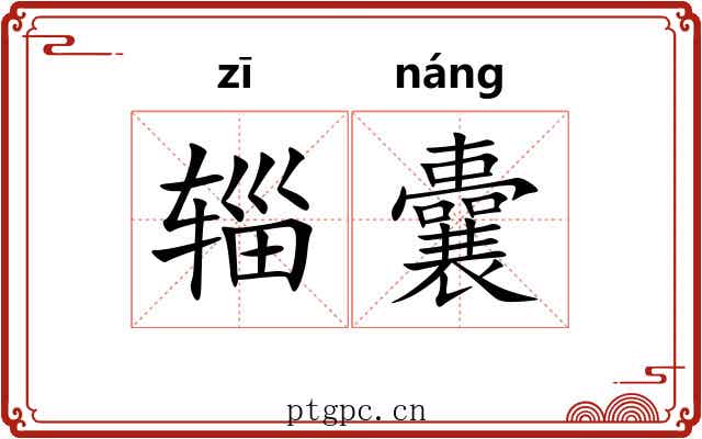 辎囊