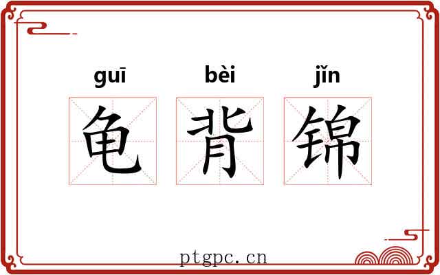龟背锦 龟背锦