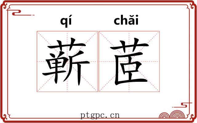 蕲茝