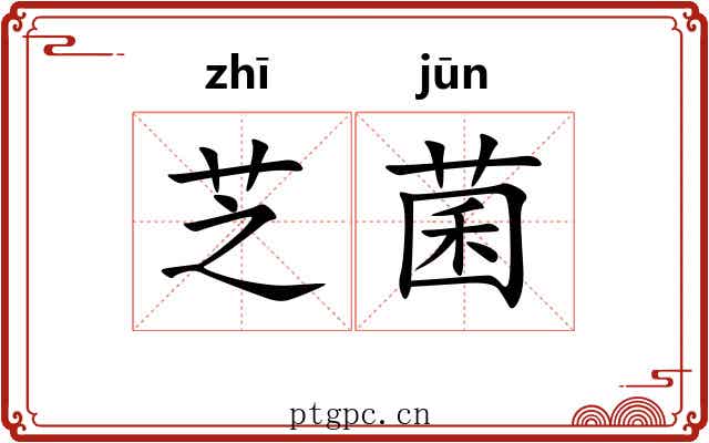 芝菌