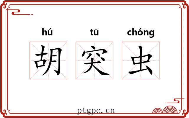 胡突虫 胡突虫