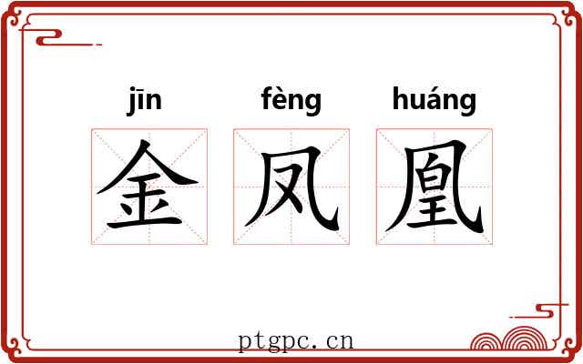 金凤凰 金凤凰