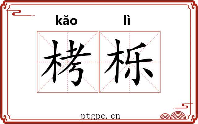栲栎