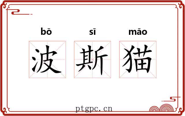 波斯猫