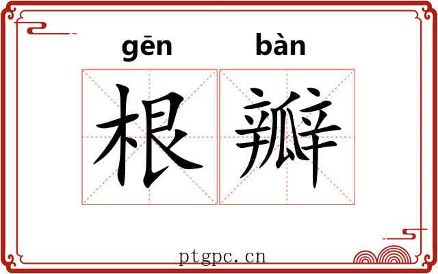 根瓣 根瓣