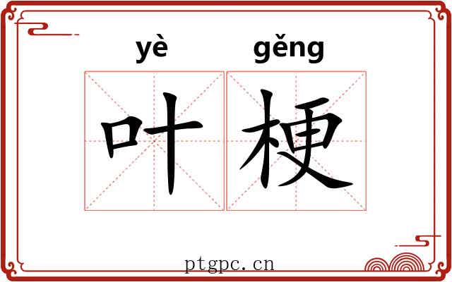 叶梗