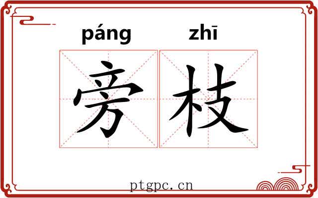 旁枝 旁枝