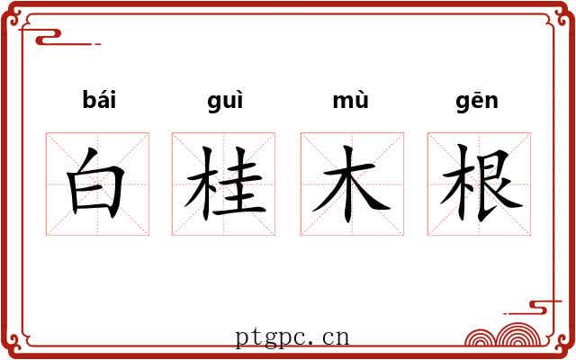 白桂木根 白桂木根