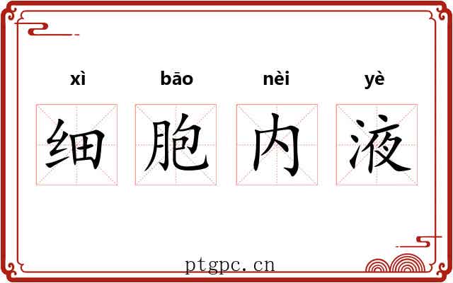 细胞内液