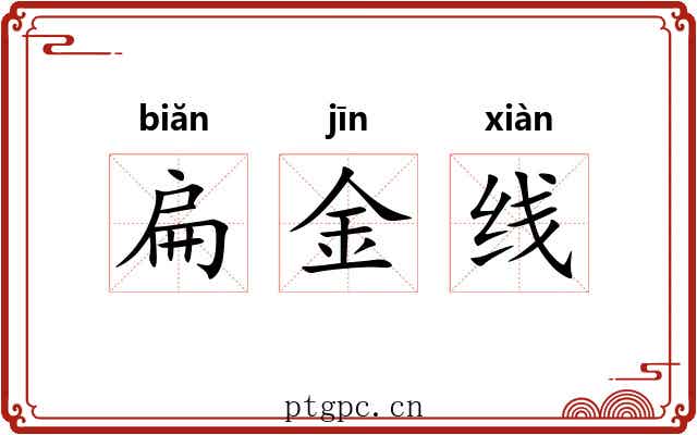 扁金线 扁金线
