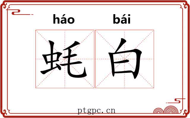 蚝白 蚝白