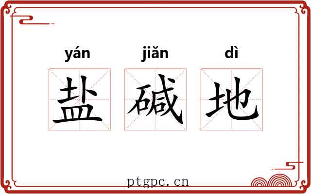 盐碱地 盐碱地
