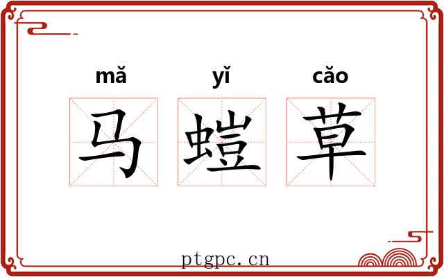 马螘草