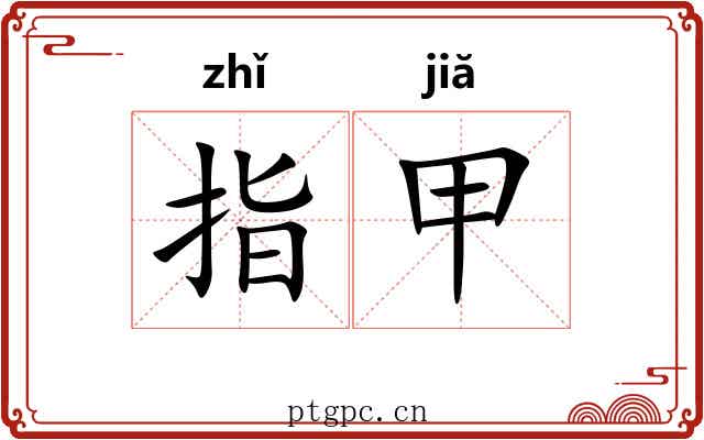 指甲 指甲