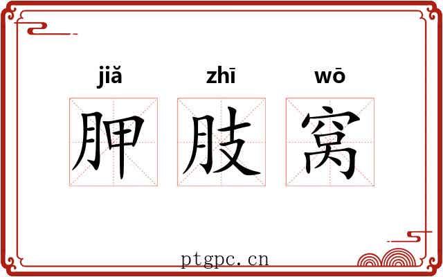 胛肢窝 胛肢窝