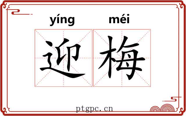 迎梅