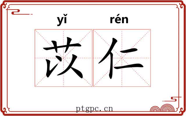苡仁 苡仁