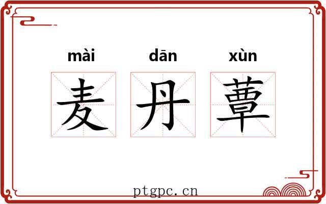 麦丹蕈 麦丹蕈