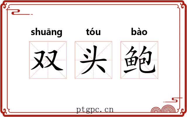双头鲍