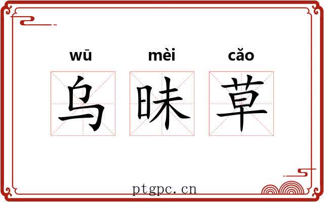 乌昧草 乌昧草