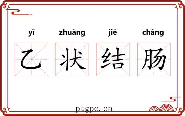 乙状结肠