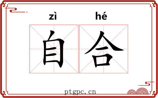 自合 自合