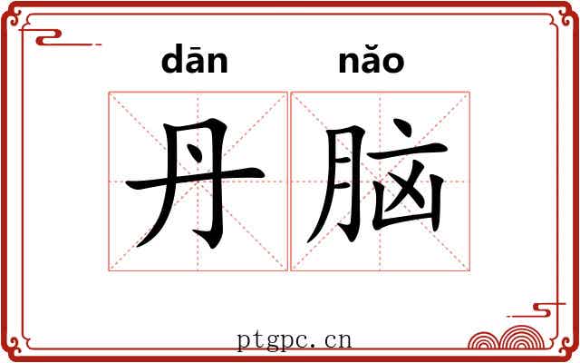 丹脑 丹脑