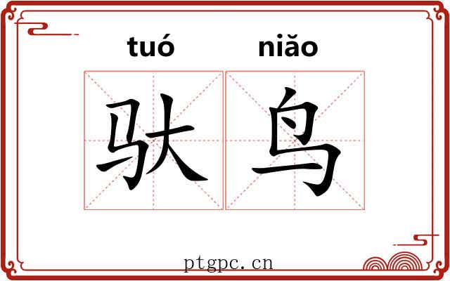 驮鸟