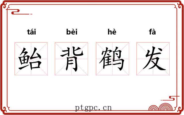 鲐背鹤发 鲐背鹤发