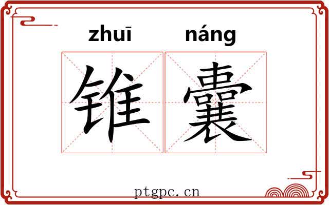 锥囊
