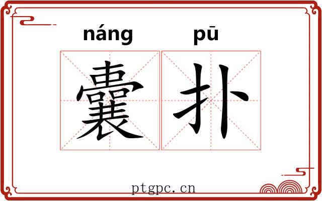 囊扑