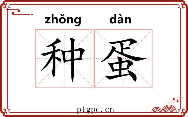 种蛋