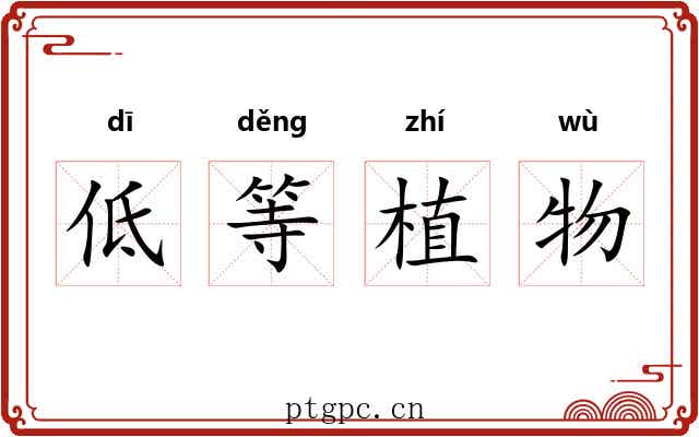 低等植物