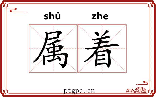 属着