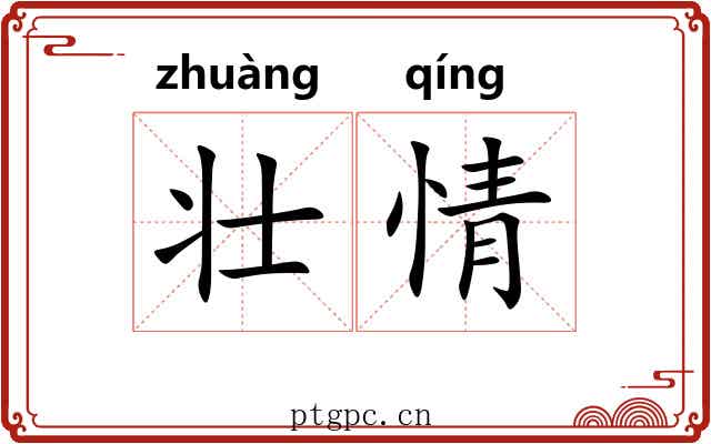 壮情 壮情