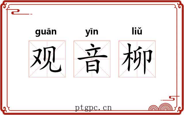 观音柳 观音柳