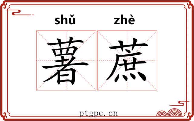 薯蔗 薯蔗