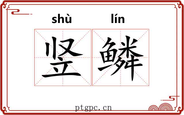 竖鳞 竖鳞
