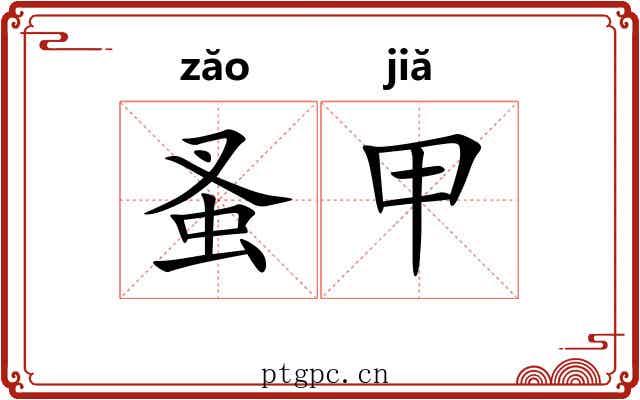 蚤甲 蚤甲