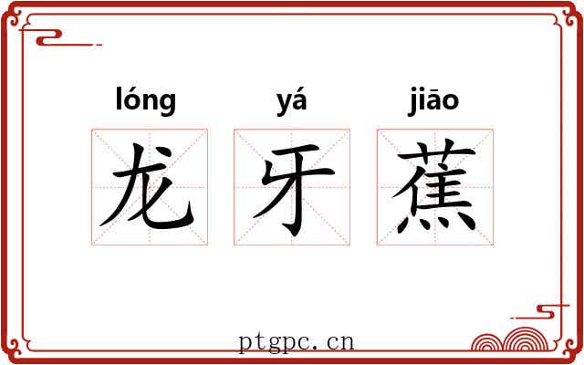 龙牙蕉