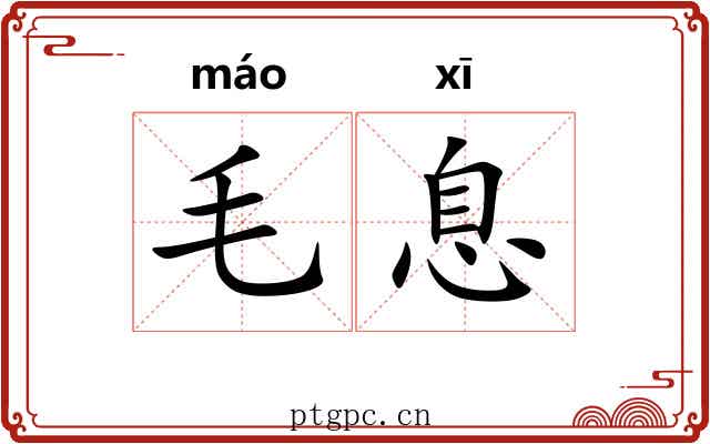 毛息 毛息