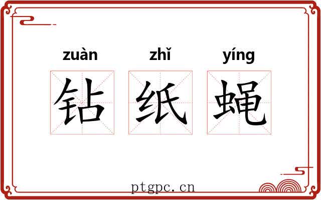 钻纸蝇 钻纸蝇