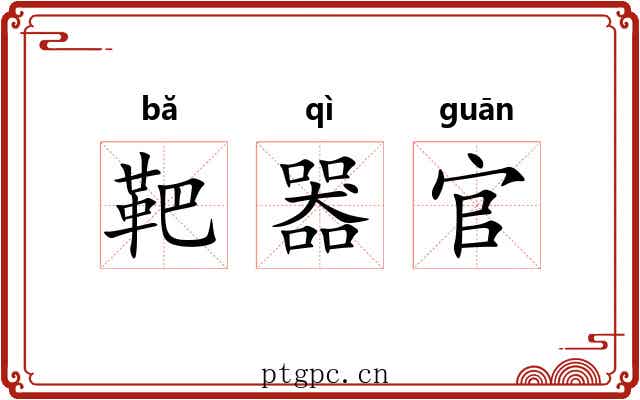 靶器官 靶器官
