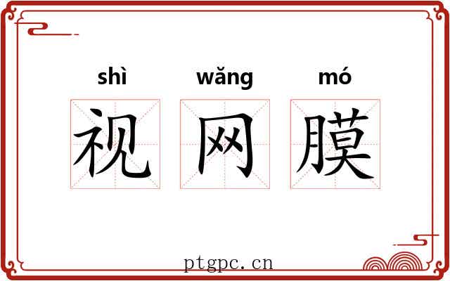 视网膜
