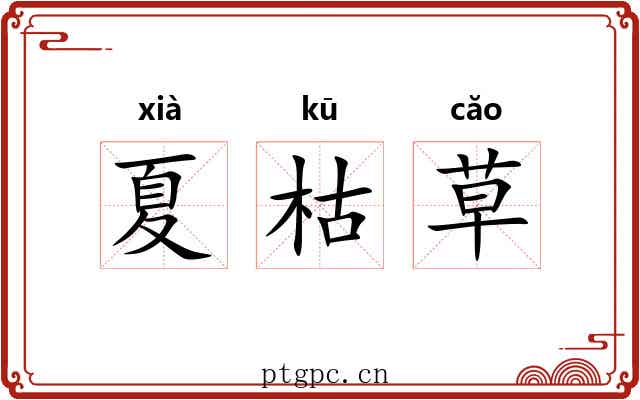 夏枯草
