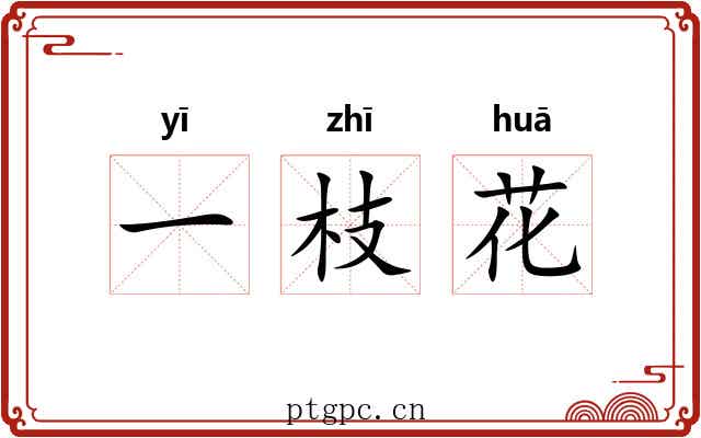 一枝花 一枝花