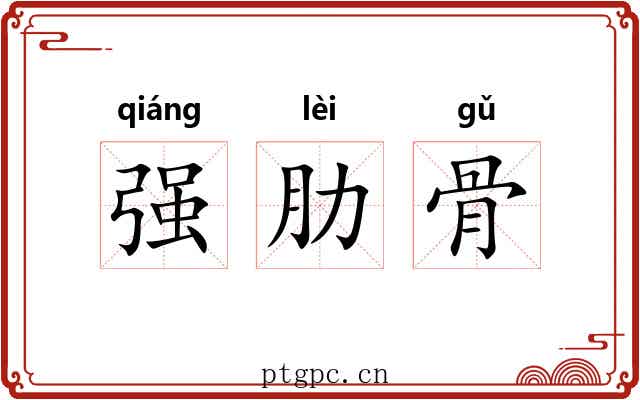 强肋骨 强肋骨