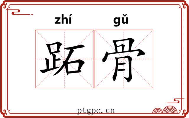 跖骨 跖骨